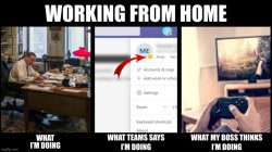 Working from home Meme Template