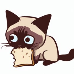 cute siamese cat eating bread Meme Template
