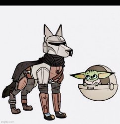 Baby Yoda and dog Meme Template