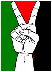 Free Palestine Meme Template