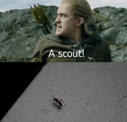 legolas scout Meme Template