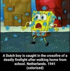 A Dutch boy Meme Template