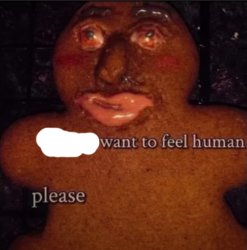 Gingerbread meme Meme Template