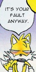 tails its your fault anyway Meme Template