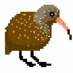 Kiwi bird Meme Template