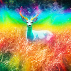 Wild deer standing in rainbow grass Meme Template