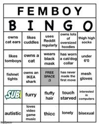 Femboy Bingo Meme Template