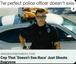 Perfect police officer Meme Template