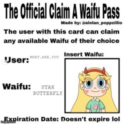 what_are_you's star butterfly waifu pass Meme Template