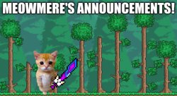 meowmere announcements (old) Meme Template