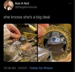 liz cheney Meme Template