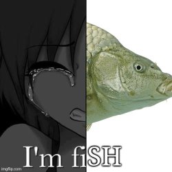 I’m fish Meme Template