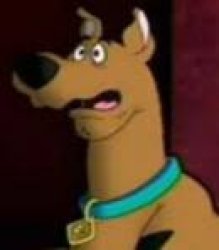 Scooby Doo Meme Template