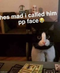 PP face Meme Template