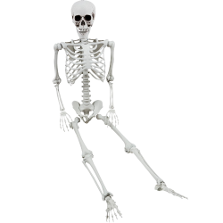 Full Body Skeleton Meme Template