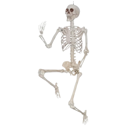 Full Body Skeleton Meme Template