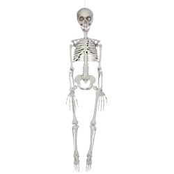 Full Body Skeleton Meme Template