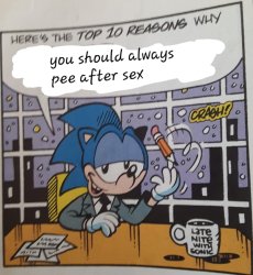 sonic always pee after sex Meme Template