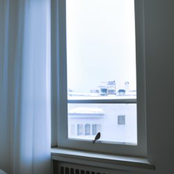 The bedroom with a window in this window look the bird outside Meme Template