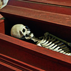 skeleton in a coffin Meme Template