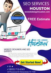 SEO Services Houston Meme Template