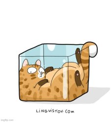 A cats way of thinking Meme Template