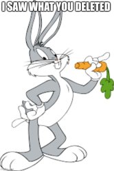 I saw what you deleted bugs bunny Meme Template