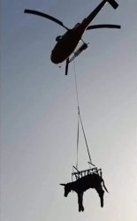 Burro cargado elevado transportado en helicoptero Meme Template