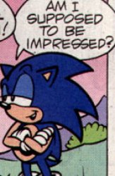 sonic should i be impressed Meme Template