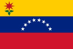 Communalist Venezuela flag Meme Template