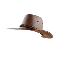 Transparent Cowboy hat Meme Template