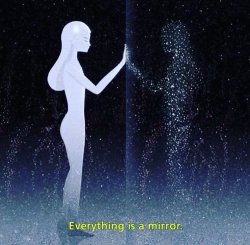 mirrors can do Meme Template