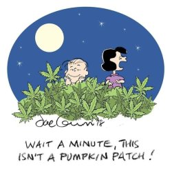 pumpkin patch Meme Template