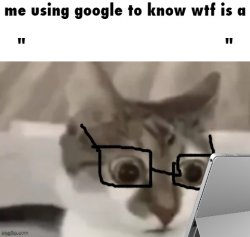 me using google to know wtf is a X Meme Template