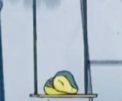 Cyndaquill on the swing Meme Template