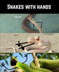 Snakes with hands Meme Template