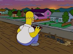 Homer Simpson Sitting On The Roof. Meme Template