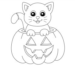 Candy cat Meme Template