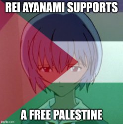 Free palestine Meme Template