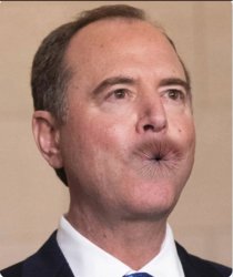 adam schiff 2 assholes Meme Template