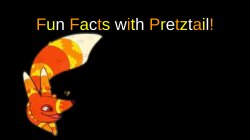 Fun Facts with Pretztail! Meme Template