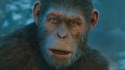 Kingdom Of The Planet Of The Apes Has Started Filming In Austral Meme Template