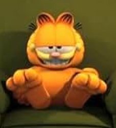 The Garfield Show Meme Template