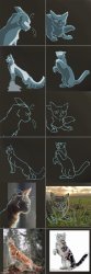 Positions Meme Template