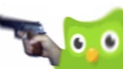 Duolingo Bird With A Gun Meme Template
