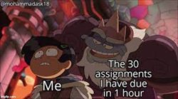 30 assignments Meme Template