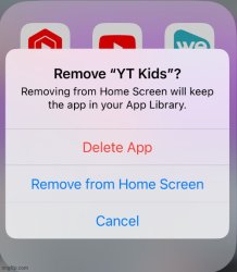 Remove yt kids Meme Template