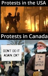 Protests Meme Template