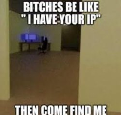 B*ches be like I have your ip adress then come find me Meme Template