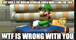 wtf is wrong with you luigi Meme Template